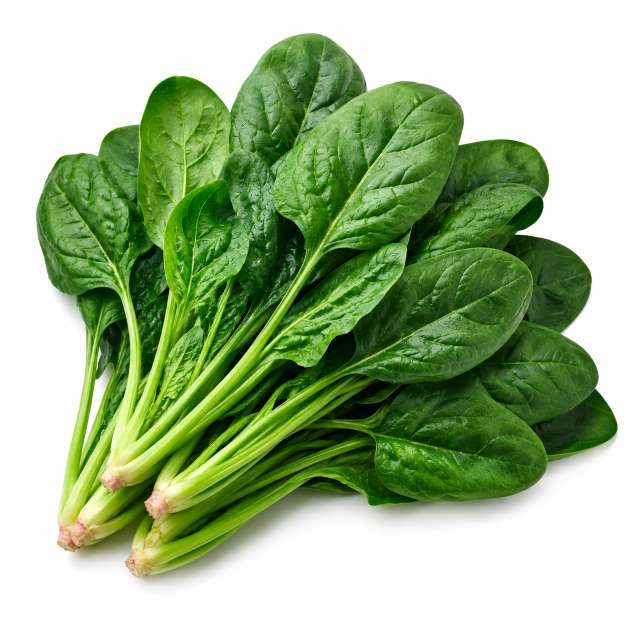 新鲜菠菜